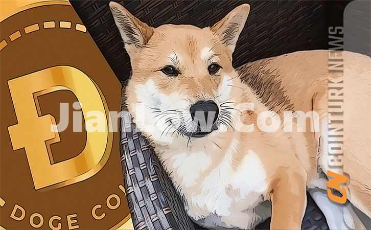 doge币使用什么平台买的(数字资产交易平台利器)