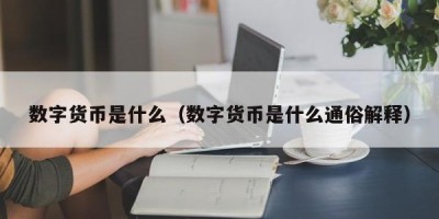 数字货币是什么（数字货币是什么通俗解释）