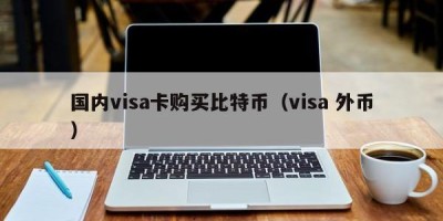 国内visa卡购买比特币（visa 外币）