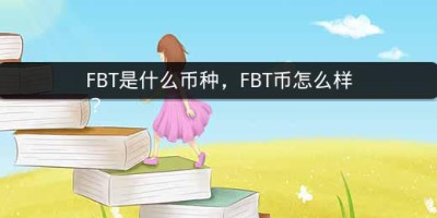 FBT是什么币种，FBT币怎么样？