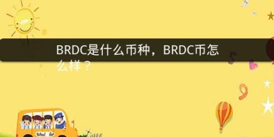 BRDC是什么币种，BRDC币怎么样？