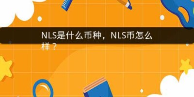 NLS是什么币种，NLS币怎么样？