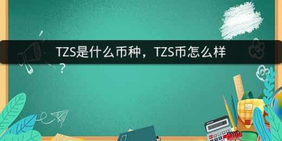 TZS是什么币种，TZS币怎么样？