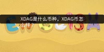 XDAG是什么币种，XDAG币怎么样？