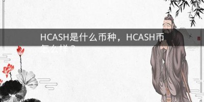 HCASH是什么币种，HCASH币怎么样？