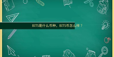 BITS是什么币种，BITS币怎么样？