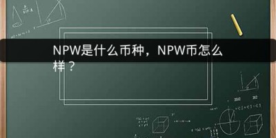 NPW是什么币种，NPW币怎么样？