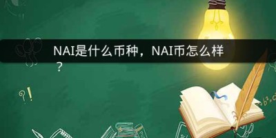 NAI是什么币种，NAI币怎么样？