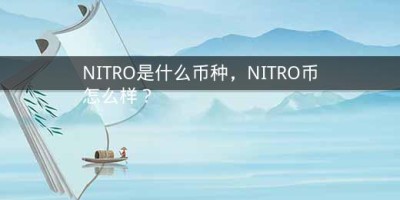 NITRO是什么币种，NITRO币怎么样？