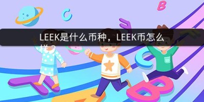 LEEK是什么币种，LEEK币怎么样？