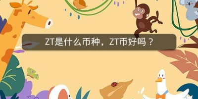 ZT是什么币种，ZT币好吗？