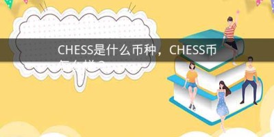 CHESS是什么币种，CHESS币怎么样？