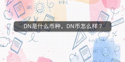 DN是什么币种，DN币怎么样？