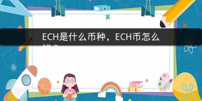 ECH是什么币种，ECH币怎么样？