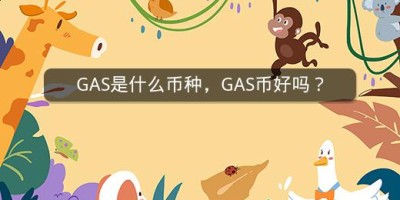 GAS是什么币种，GAS币好吗？