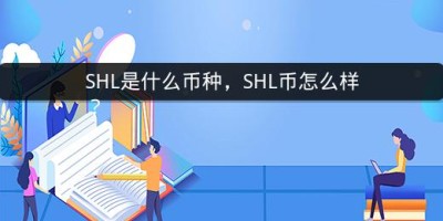 SHL是什么币种，SHL币怎么样？