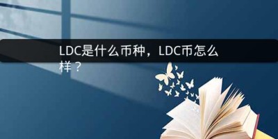 LDC是什么币种，LDC币怎么样？