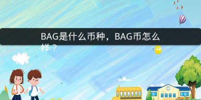 BAG是什么币种，BAG币怎么样？