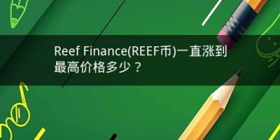 Reef Finance(REEF币)一直涨到最高价格多少？