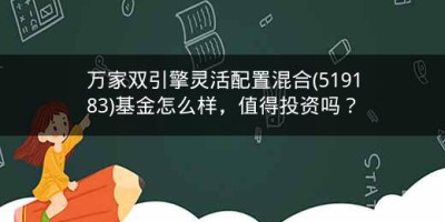 万家双引擎灵活配置混合(519183)基金怎么样，值得投资吗？