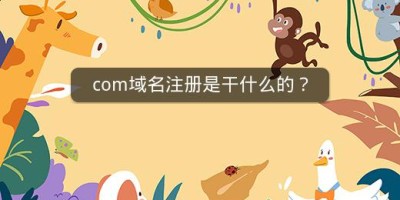 com域名注册是干什么的？