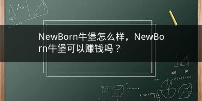 NewBorn牛堡怎么样，NewBorn牛堡可以赚钱吗？