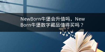 NewBorn牛堡会升值吗，NewBorn牛堡数字藏品值得买吗？