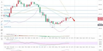 泰达币今日价格操作分析，泰达币价格跌至18个月低点