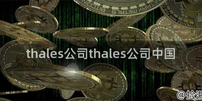 thales公司thales公司中国