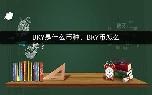BKY是什么币种，BKY币怎么样？插图