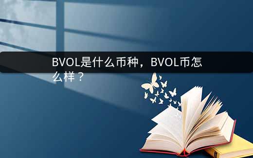 BVOL是什么币种，BVOL币怎么样？插图
